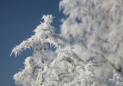 یزد در انتظار سرمای بیسابقه یزد در انتظار سرمای بیسابقه