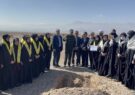 کاشت ۲۰۰۰ اصله نهال کاکتوس در قالب طرح شهید سلیمانی در یزد کاشت ۲۰۰۰ اصله نهال کاکتوس در قالب طرح شهید سلیمانی در یزد
