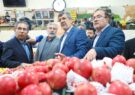 استاندار یزد: با گرانفروشی برخورد میکنیم استاندار یزد: با گرانفروشی برخورد میکنیم