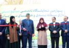 معاون صنایع دستی کشور: یزد در حوزه بسته‌بندی صنایع دستی پیشگام است