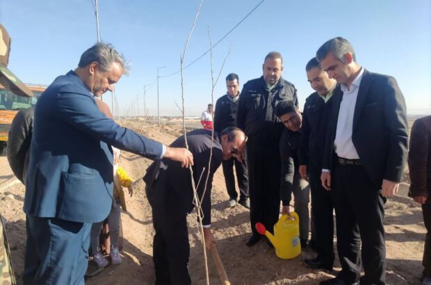 مدیرکل منابع طبیعی: ۵۰۰ هزار نهال تا پایان سال ۱۴۰۴ در یزد کاشته میشود مدیرکل منابع طبیعی: ۵۰۰ هزار نهال تا پایان سال ۱۴۰۴ در یزد کاشته میشود