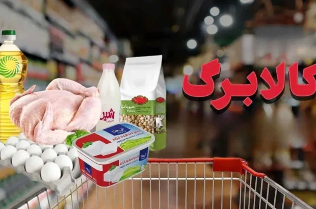 انجام بیش از ۱۰.۵ همت خرید کالابرگ در استان یزد انجام بیش از ۱۰.۵ همت خرید کالابرگ در استان یزد
